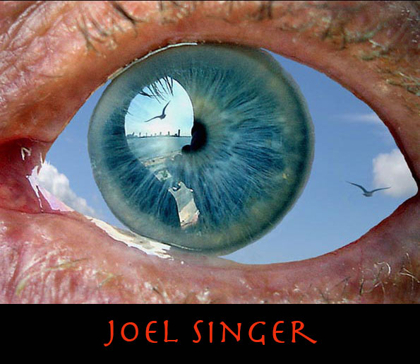Joel Singer