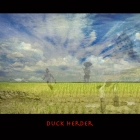 duckHerder