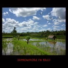 somewhereinBali